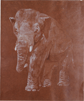 Шендеров Александр Семёнович. Слон